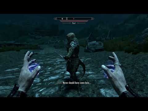 Random Thief and Vampire Assassin Encounter in Skyrim