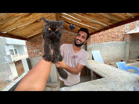 Black Cat lay aya Sabtain 🥰