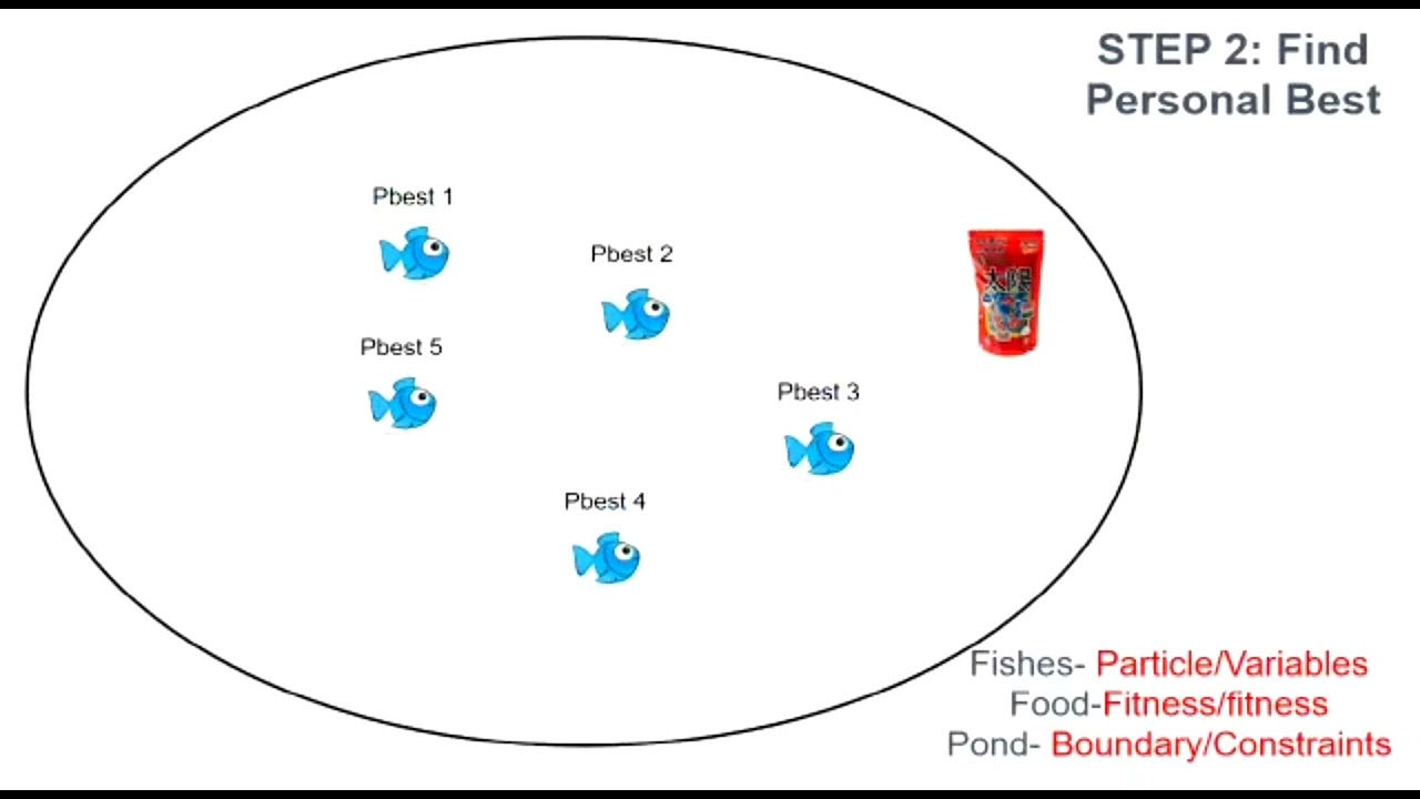 particle swarm optimisation (PSO) algorithm in 30secs