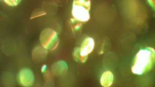 Foals // 2 Trees (Fan Vidéo)