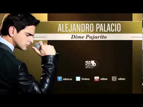 Alejandro Palacio   Dime Pajarito LA VOZ DEL IDOLO