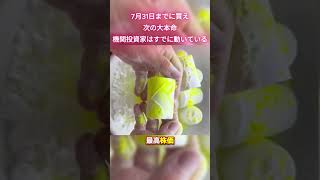 #日本株#株式投資#投資初心者#資産運用#NISA#新NISA#高配当株#成長株#半導体#AI#日本経済#株#株好き#デイトレ#長期投資#投資情報#テンバガー#急騰株#投資家と繋がりたい#お金の勉強