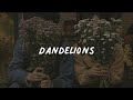 Dandelions Speed Up Lyrics