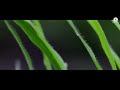 Pavsat Prime Time Shreya Ghoshal Krutika Deo Mp4