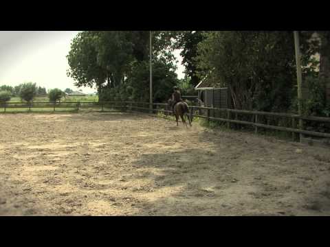 Paardenkür Zalk, Het Leukste Dorp van Overijssel!