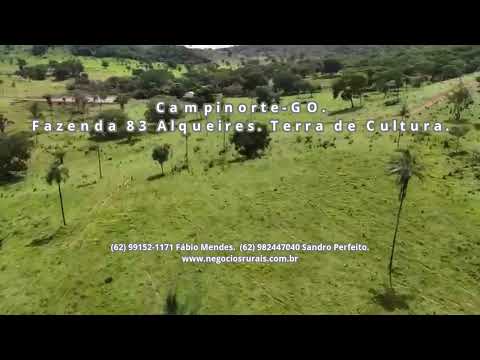 Fazenda 83 Alqueires. Campinorte-GO. 