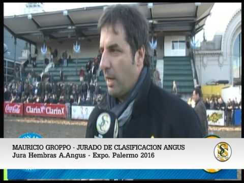 28-07-16 MAURICIO GROPPO - JURADO RAZA ANGUS - PALERMO 2016.