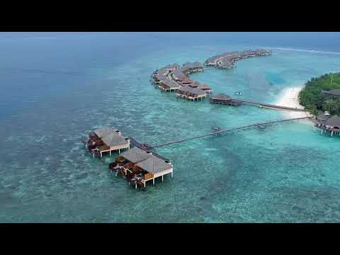 Videos del Adaaran Prestige Vadoo 5★ en Atolón de Malé Sur, MaldivasVer MásVerPrecios19CerrarConsulta por Whatsapp 🇦🇷BookingTripadvisorExpediaAgodaTravelocityOrbitzPricelineTripSkyscannerDespegarKayakHotelesDestiniaTrivagoTurismocityLastminuteHotwireTuiWotif