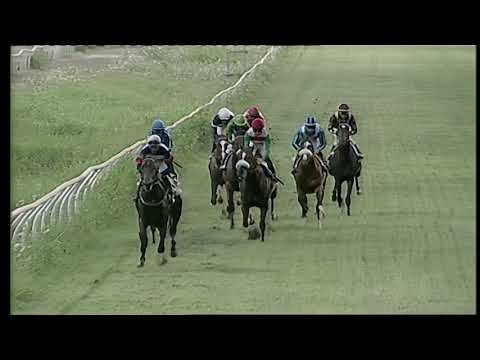 Napoli Galoppo 10/07/2021 - 2ª corsa