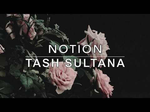 download lagu mp3 mp4 Notion Lyrics, download lagu Notion Lyrics gratis, unduh video klip Notion Lyrics