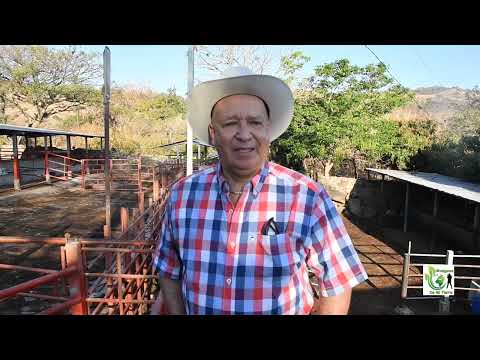 GANADERÍA Y AGRICULTURA OFICIOS ANCESTRALES EN EL ORIENTE DE GUATEMALA.