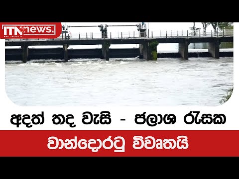 අදත් තද වැසි - ජලාශ රැසක වාන්දොරටු විවෘතයි