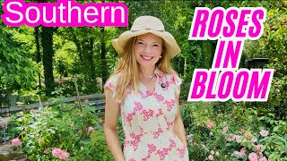 Garden Tour🌸The Best Roses For The South And Beyond | Part 1