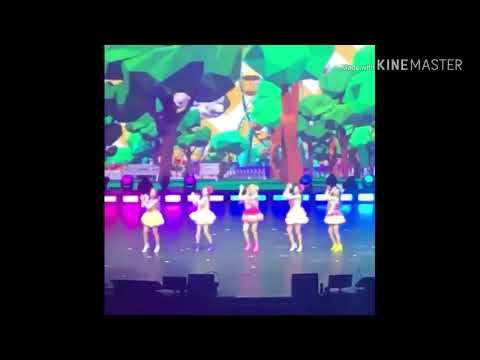 Red Velvet Joy injured at Red Mare in Singapore