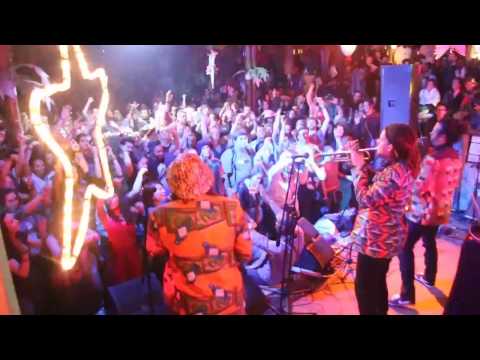 True Vibenation Live at Bushfire Festival