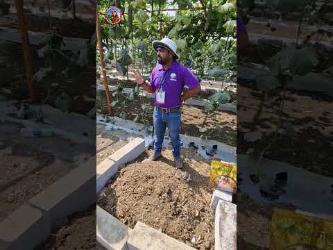 Compost khad | d compost | Gobar khad compost | krushik 2025