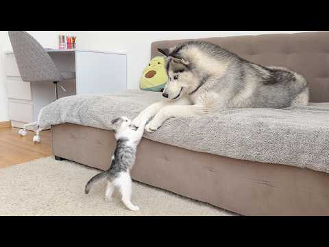 YouTube 썸네일