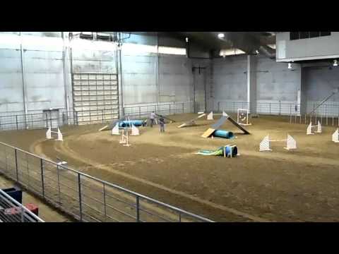 Nicky Standard Fun Run 12-6-15