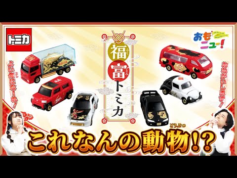 【これ何のどうぶつ？】福富トミカでクイズをしてみたよ！【おもニュー！】トミカ｜おもちゃ | タカラトミー公式｜はたらくくるま｜tomica |