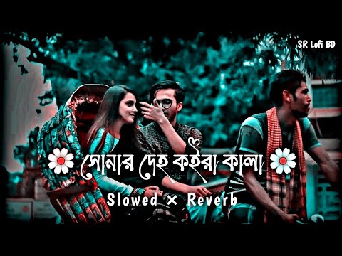 সোনার দেহ কইরা কালা | Shonar Deho Koira Kala | Slowed+Reverb | Bangla Lofi Song | SR Lofi BD