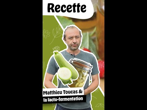 , title : 'Comment conserver ses courgettes grâce à la lacto-fermentation ? La recette de Matthieu Toucas'