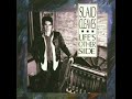 Horses and Divorces by Slaid Cleaves