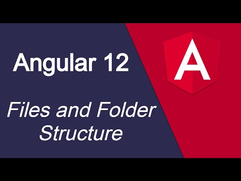 Angular 12 tutorial 3 Files and Folder Structure