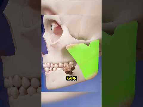 Die Zunge ist der stärkste Muskel im Körper? 🤔(Credits:@zackdfilms)