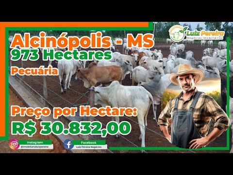 Super oportunidade em Alcinópolis-MS 973 Hectares aptidão pecuária, fazenda estruturada, ótima