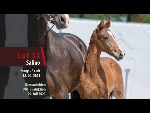 ONLIVE-AUKTION Lot 32 Salino Hengst v. Salitos - Fürst Samarant