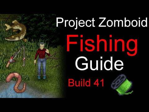 Project Zomboid FISHING Guide | Catch the biggest FISH! | Build 41