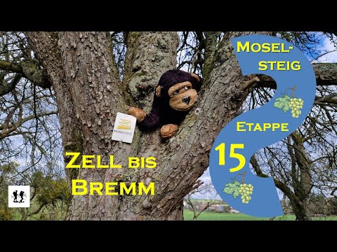 #Moselsteig, Etappe 15: Von Zell nach Bremm