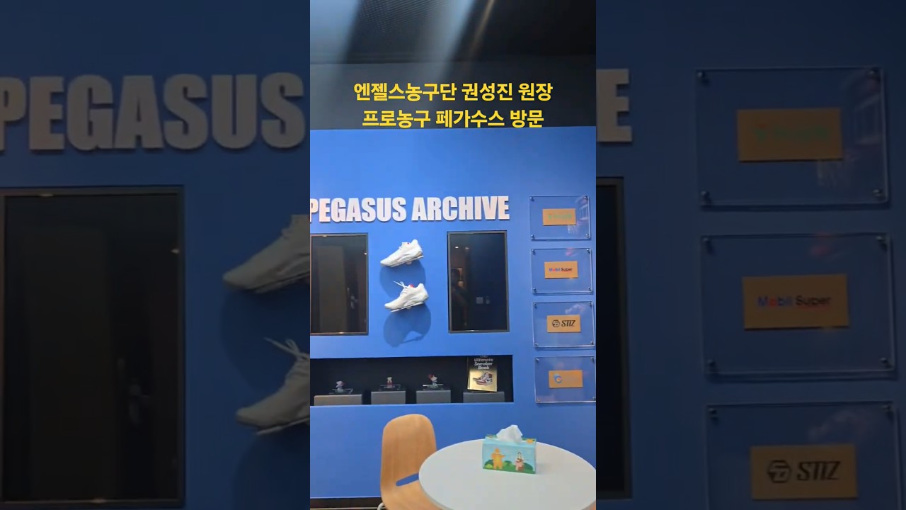 프로농구구단방문기~#엔젤스농구단 #권성진 #원장 #nba  #쇼츠 #shorts #southkorea #국가대표#피땀눈물 #kbl #프로농구 #노력 아이들과가족들이웃는그날까지~