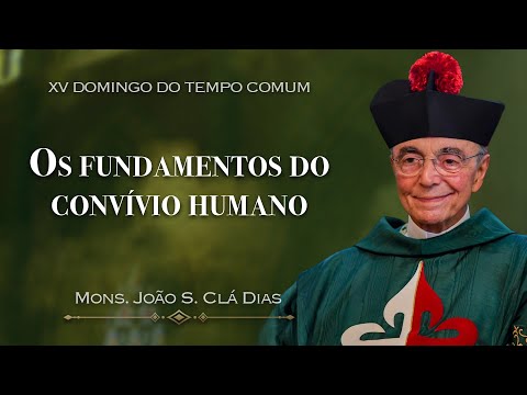 Sunday Homily | The Parable of the Good Samaritan | (15th Sunday in Ordinary Time), Mons. João