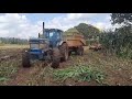 Silage Making In Trans Nzoia Kenya