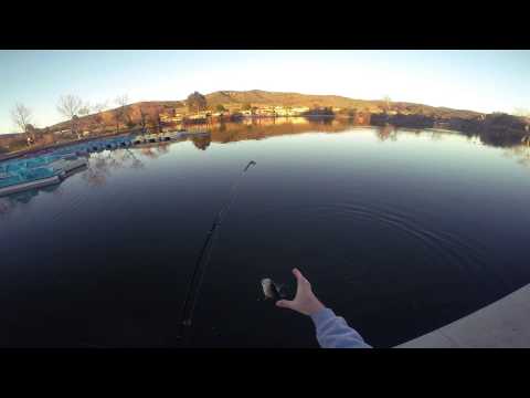 GoPro: Matthew Bray - California 4.06.15 - Fish