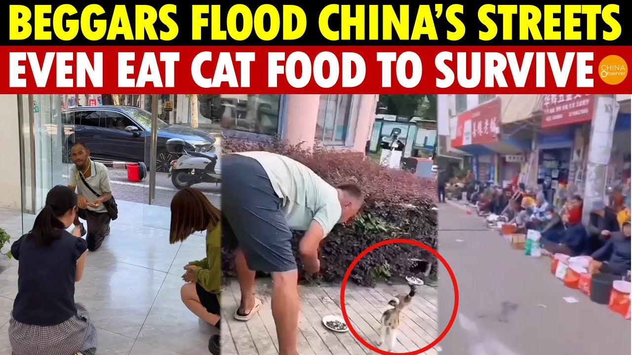 Beggers Everywhere! Is This Still China? People Beg, Steal, and Even Eat Cat Food to Survive