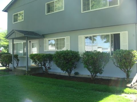 Triangle Gardens - Video 2 of 2