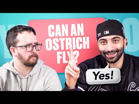 We Argue Over Trivia TUG OF WAR!