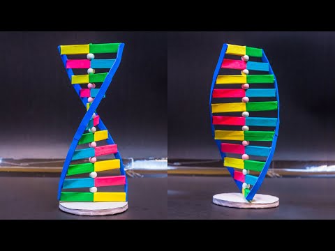 Science Projects | DNA Working Model