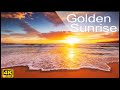 4k Golden Sunrise on the Beach - Relaxing Ocean Waves Sounds and Seagulls - No Music