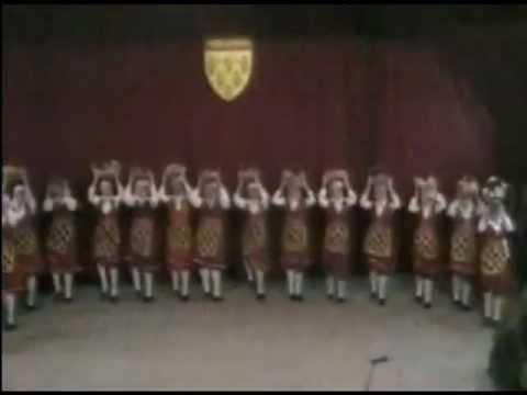 DETSKO STUDIO TOSKA - CVEKEBERACKA