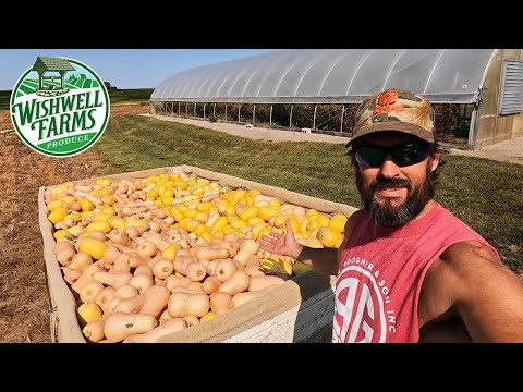 INCREDIBLE HARVEST OF PEPPERS AND WINTER SQUASH