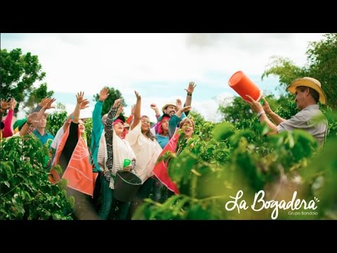 La Bogadera - Grupo Bandola   [Video Oficial]