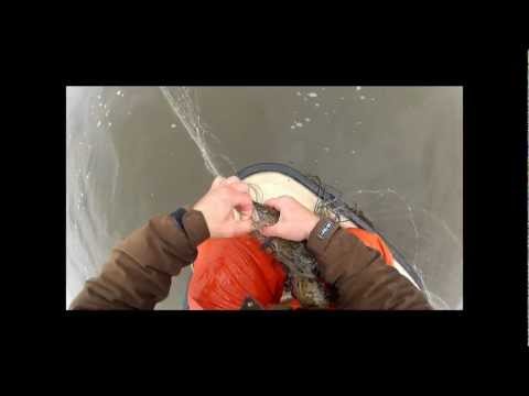 verkkojen kokemista 5.5.2012