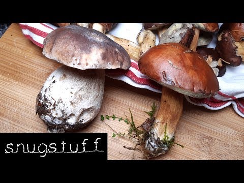 Waldpilze richtig putzen! Am Beispiel von Steinpilz und Braunkappe | Tutorial | Episode 0074