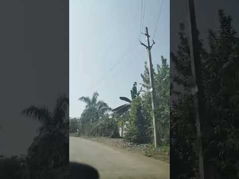 Nice View #shayari #trending #motivation #shorts #viral #nature #village #travel #vlog #bome
