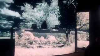 Bassnectar @ Red Rocks night 3 - Dorfex Bos