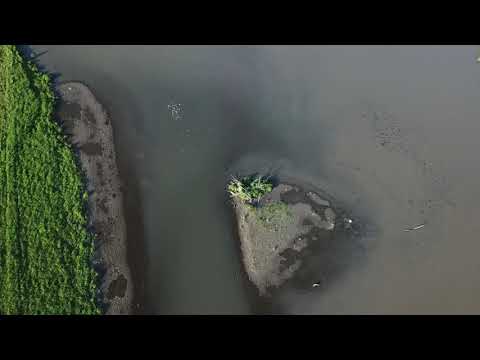 NRD Dunbar 2019 05 14