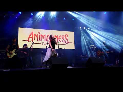 Animadness Ressaca Friends